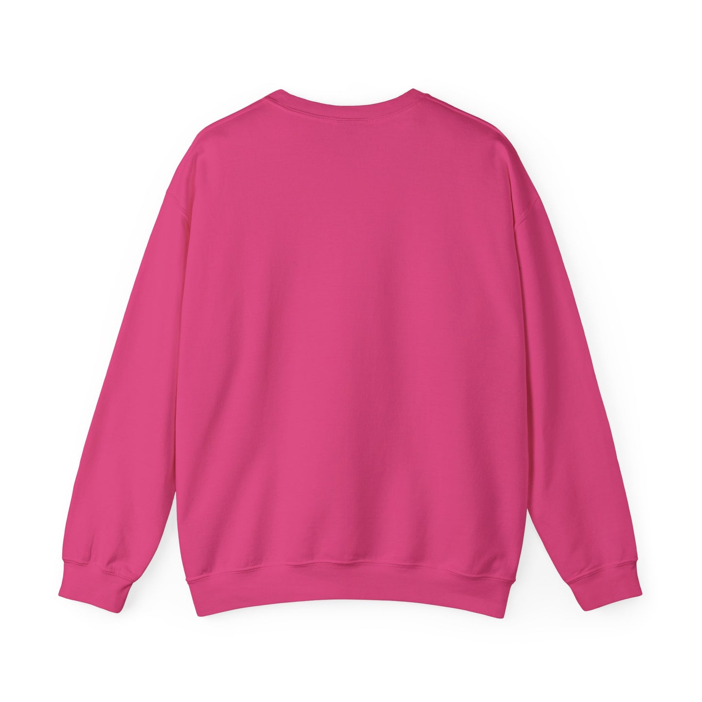 Crewneck Sweatshirt Witch on Broom Cat TikTok Viral