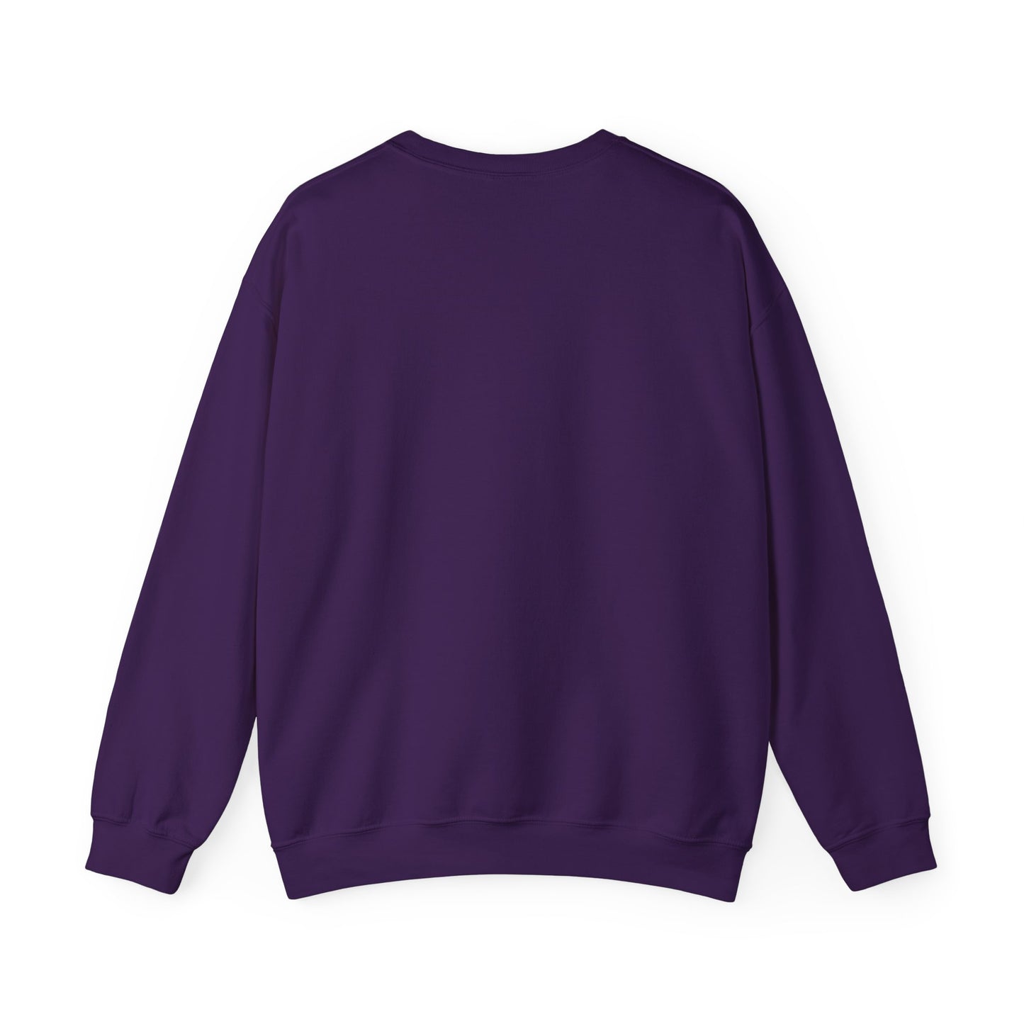 Crewneck Sweatshirt Witch on Broom Cat TikTok Viral